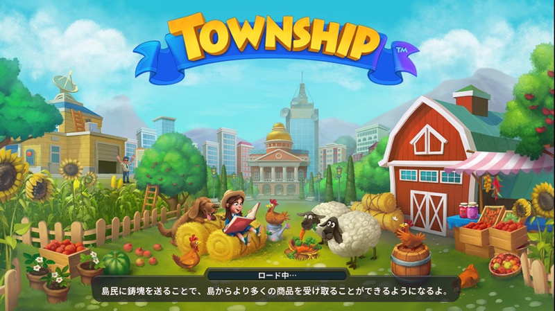 Townshipタウンシップ